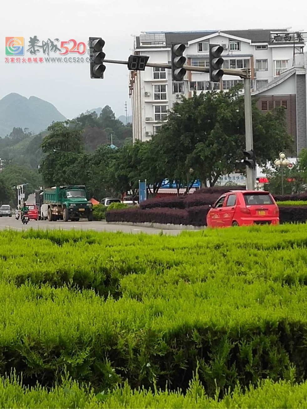 新车站红绿灯突然不亮了507 / 作者:水墨茶江 / 帖子ID:261116
