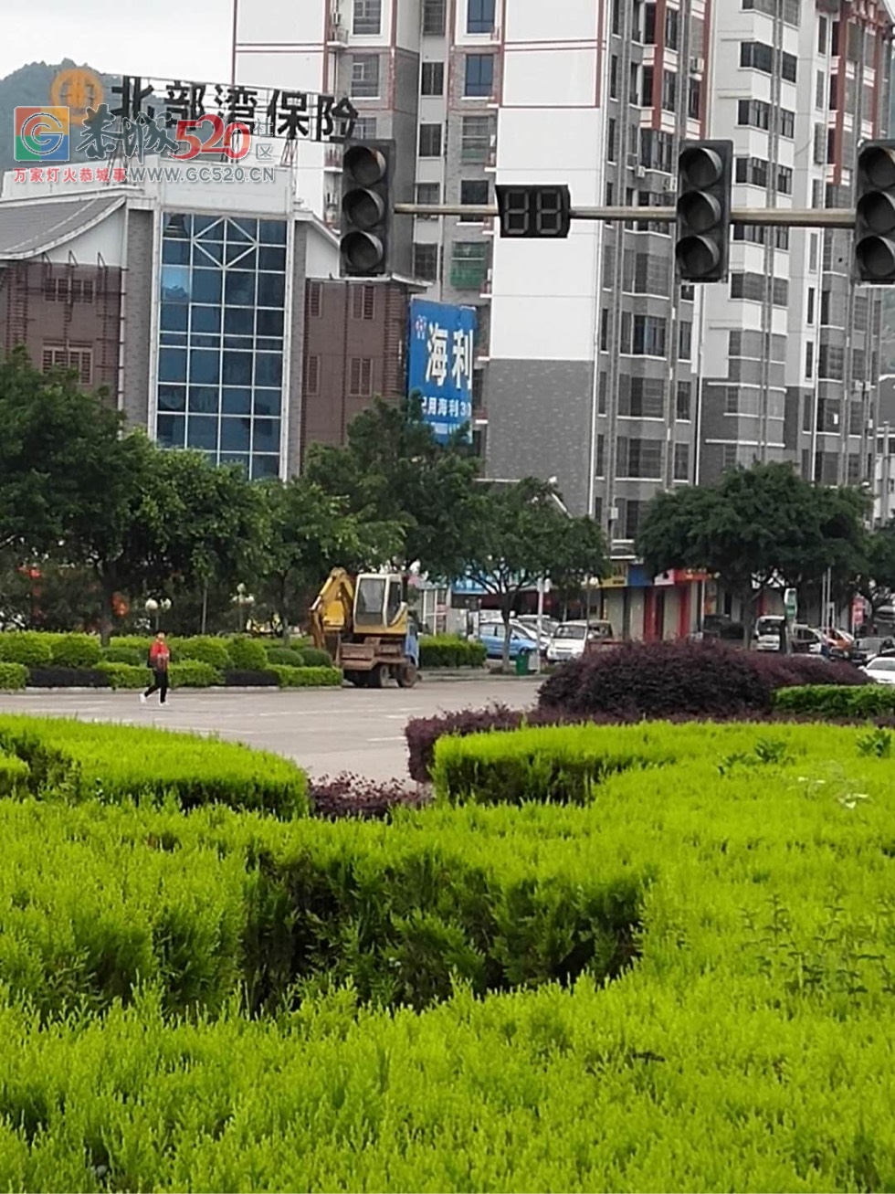 新车站红绿灯突然不亮了383 / 作者:水墨茶江 / 帖子ID:261116