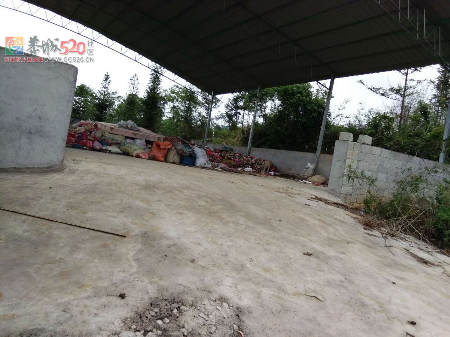 栗木镇，上宅村的垃圾场建在这里合适吗？92 / 作者:卵仔仔 / 帖子ID:261123