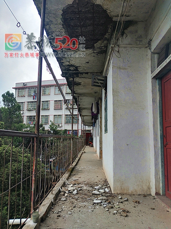 戳中泪点丨难以置信恭城当年叱咤风云的一群人如今竟然安居都成难题277 / 作者:三江黄坪 / 帖子ID:261196