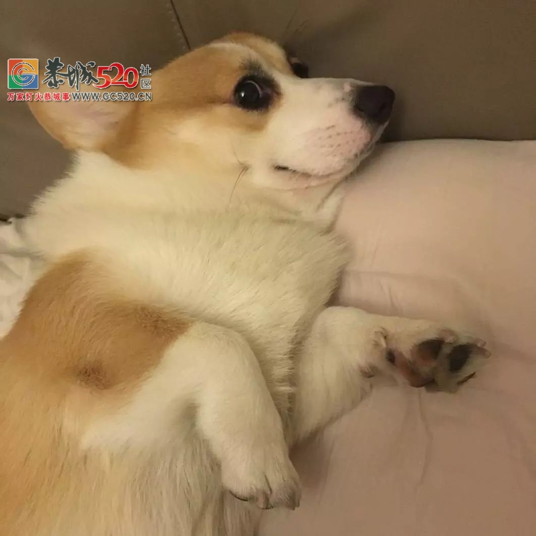 垃圾食品是人性最后的救赎211 / 作者:该做的事情 / 帖子ID:261220