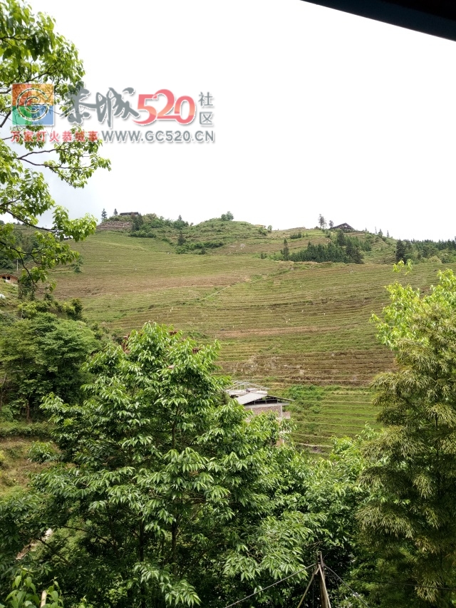 放飞自我——小编的龙胜一日游909 / 作者:讲不出神 / 帖子ID:261240