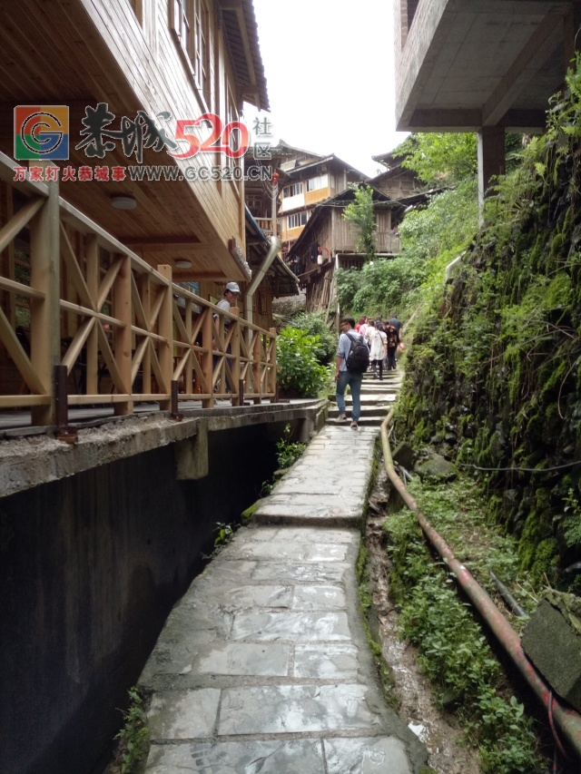 放飞自我——小编的龙胜一日游48 / 作者:讲不出神 / 帖子ID:261240