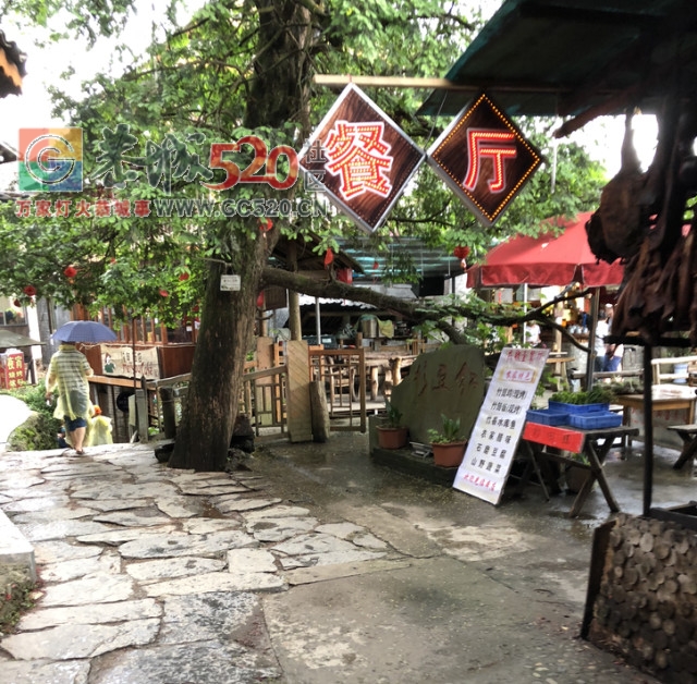 放飞自我——小编的龙胜一日游658 / 作者:讲不出神 / 帖子ID:261240