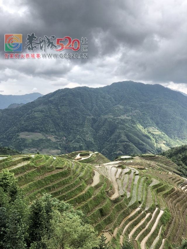 放飞自我——小编的龙胜一日游445 / 作者:讲不出神 / 帖子ID:261240