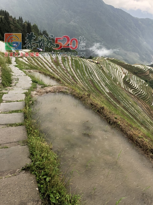 放飞自我——小编的龙胜一日游351 / 作者:讲不出神 / 帖子ID:261240