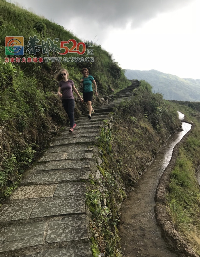 放飞自我——小编的龙胜一日游260 / 作者:讲不出神 / 帖子ID:261240