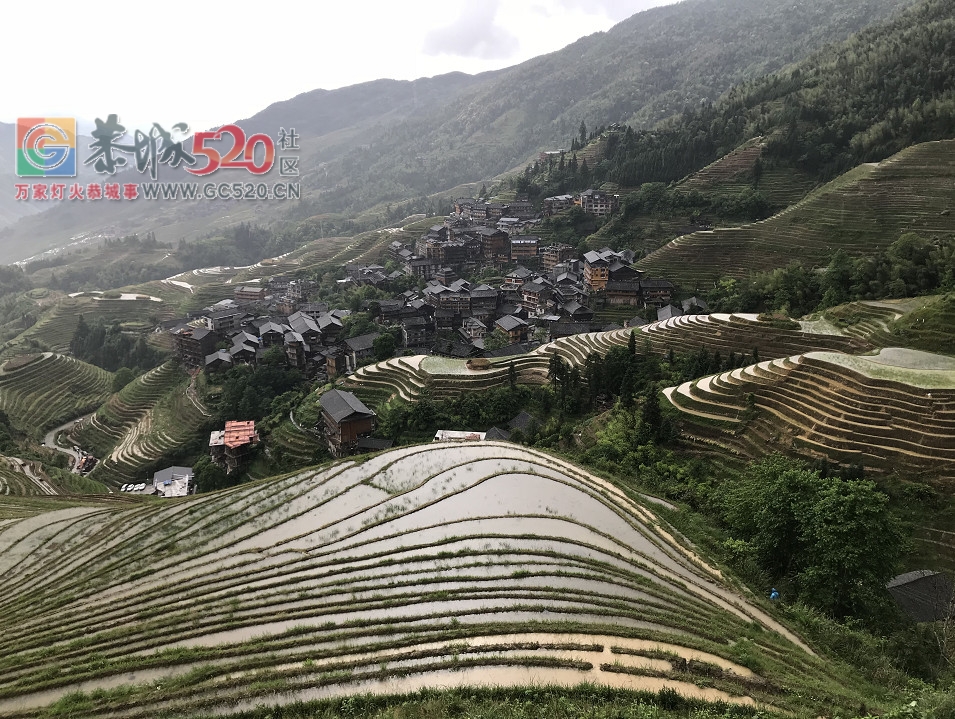 放飞自我——小编的龙胜一日游166 / 作者:讲不出神 / 帖子ID:261240