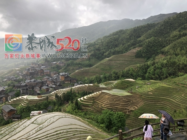 放飞自我——小编的龙胜一日游44 / 作者:讲不出神 / 帖子ID:261240