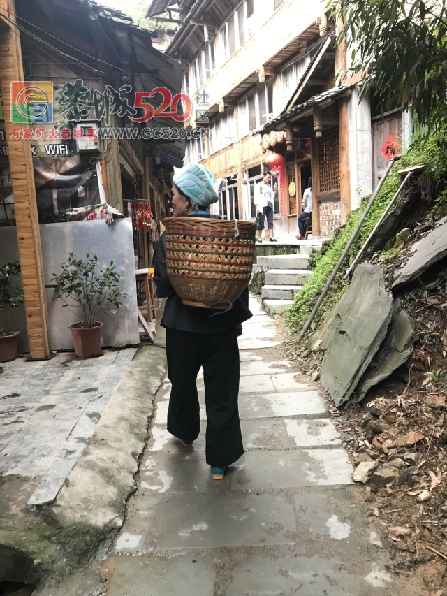 放飞自我——小编的龙胜一日游739 / 作者:讲不出神 / 帖子ID:261240