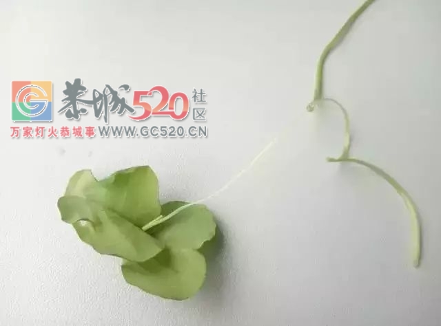 这不只是恭城童年的味道，更是一代人的美好回忆！75 / 作者:歌声回荡 / 帖子ID:261242