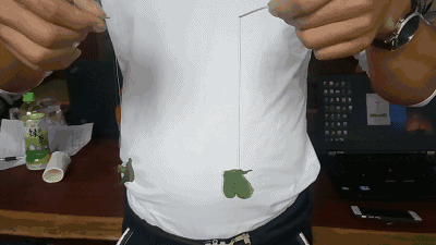 这不只是恭城童年的味道，更是一代人的美好回忆！568 / 作者:歌声回荡 / 帖子ID:261242