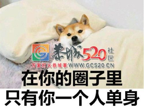 想到这辈子不能跟他白头偕老，就难过到不行 | 24个决定结婚的理由688 / 作者:凤凰山脚的人家 / 帖子ID:261256