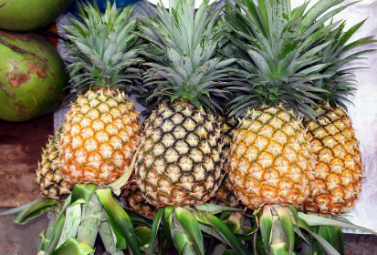 恭城人还在用盐水泡菠萝？错了，吃菠萝的正确方式是这样！540 / 作者:分叉路口 / 帖子ID:261258