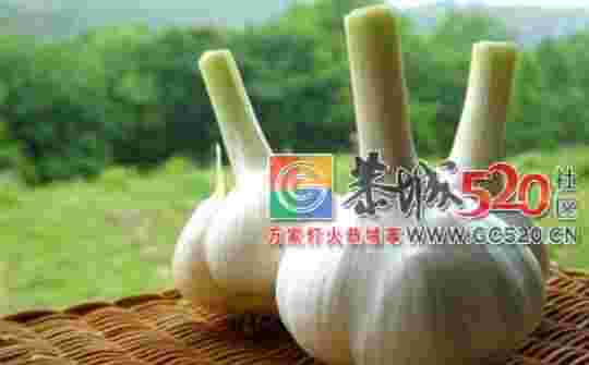 入夏送你可以喝的“天然空调”和“杀菌蔬菜”， 请收好！761 / 作者:东门头人 / 帖子ID:261350