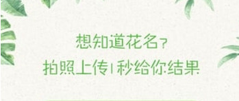 【5.20相聚乐湾】全民寻宝！恭城520社区导演的“年度大戏”即将上演……795 / 作者:分类小编 / 帖子ID:261352