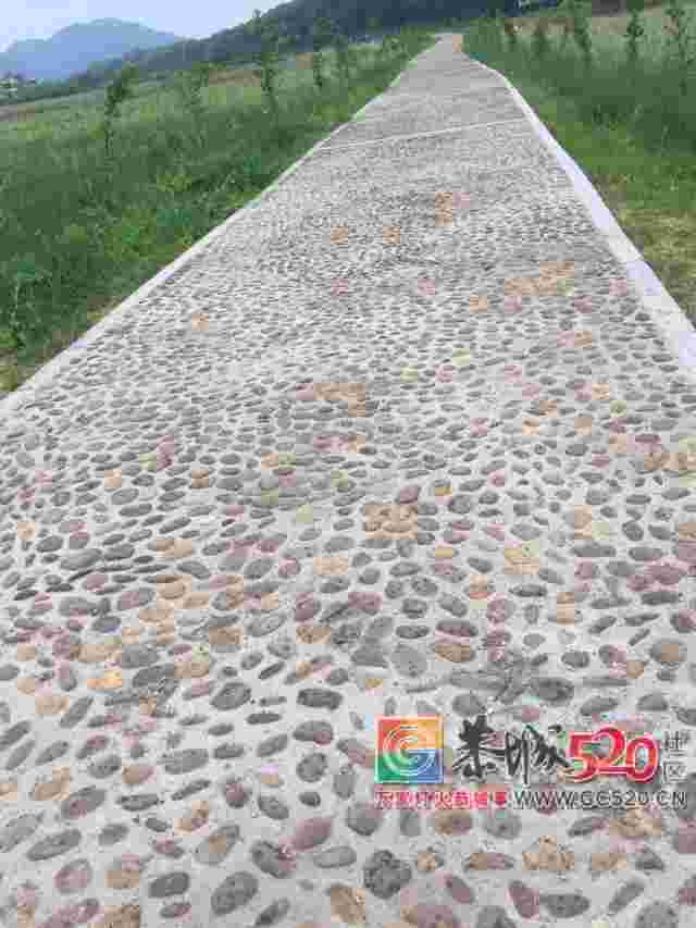 【5.20相聚乐湾】全民寻宝！恭城520社区导演的“年度大戏”即将上演……695 / 作者:分类小编 / 帖子ID:261352