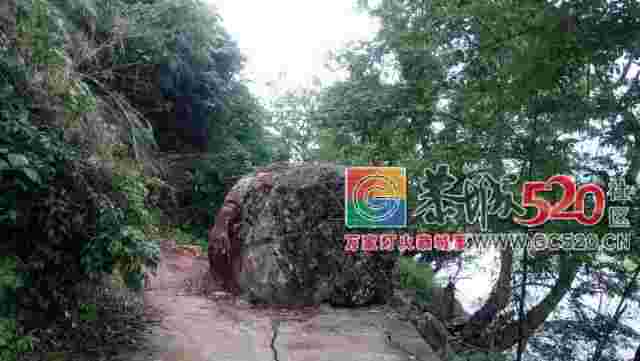恭城社山至桐竹路段山石滑坡，巨石“霸”在路中央十多天，难出行！779 / 作者:登山涉水 / 帖子ID:261360