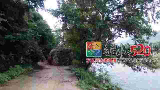 恭城社山至桐竹路段山石滑坡，巨石“霸”在路中央十多天，难出行！182 / 作者:登山涉水 / 帖子ID:261360