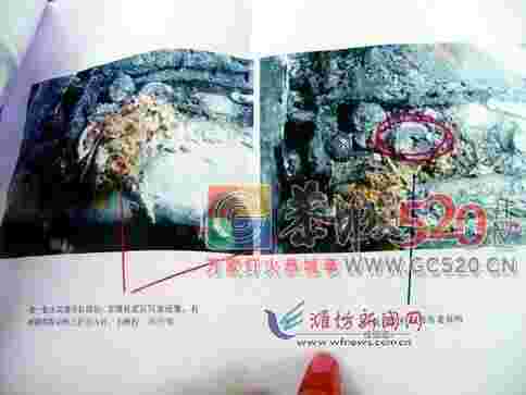 这起事故并不在车险的保障范围之内21 / 作者:礼诚 / 帖子ID:259390