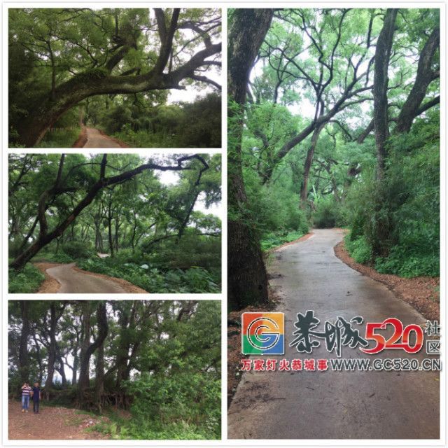 【5.20相聚乐湾】目前累计报名人数已经超过了300了，报名时间于5月19日晚上9点截止876 / 作者:分类小编 / 帖子ID:261395