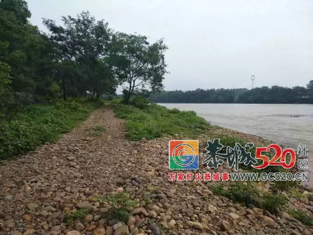 【5.20相聚乐湾】目前累计报名人数已经超过了300了，报名时间于5月19日晚上9点截止735 / 作者:分类小编 / 帖子ID:261395