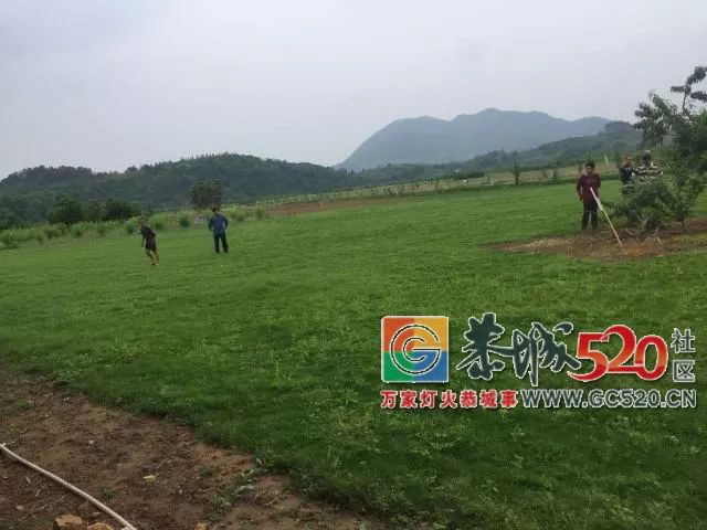 【5.20相聚乐湾】目前累计报名人数已经超过了300了，报名时间于5月19日晚上9点截止737 / 作者:分类小编 / 帖子ID:261395