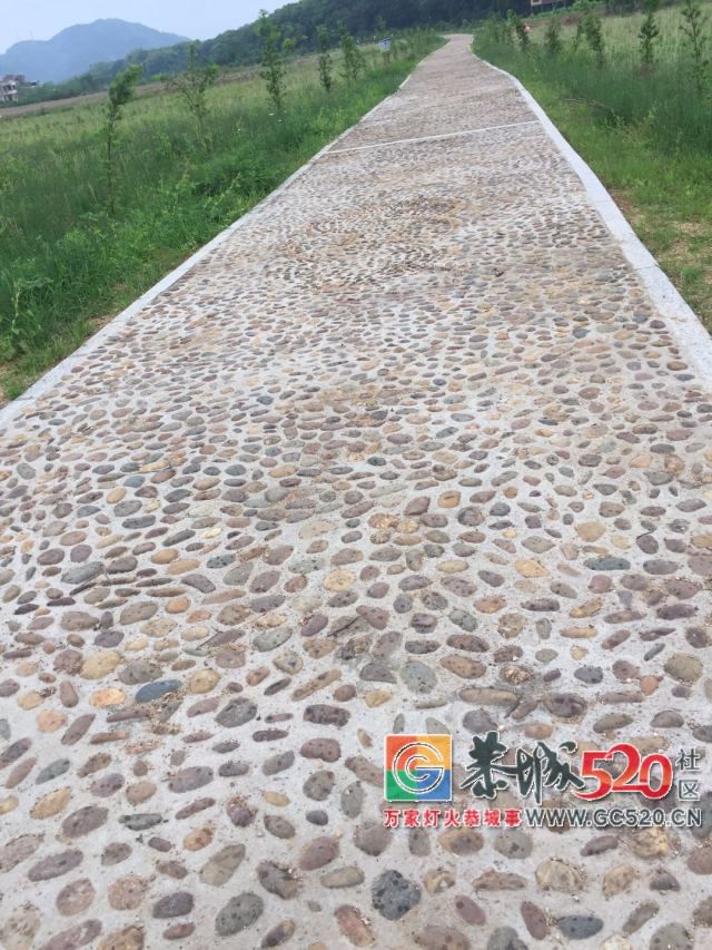【5.20相聚乐湾】目前累计报名人数已经超过了300了，报名时间于5月19日晚上9点截止4 / 作者:分类小编 / 帖子ID:261395