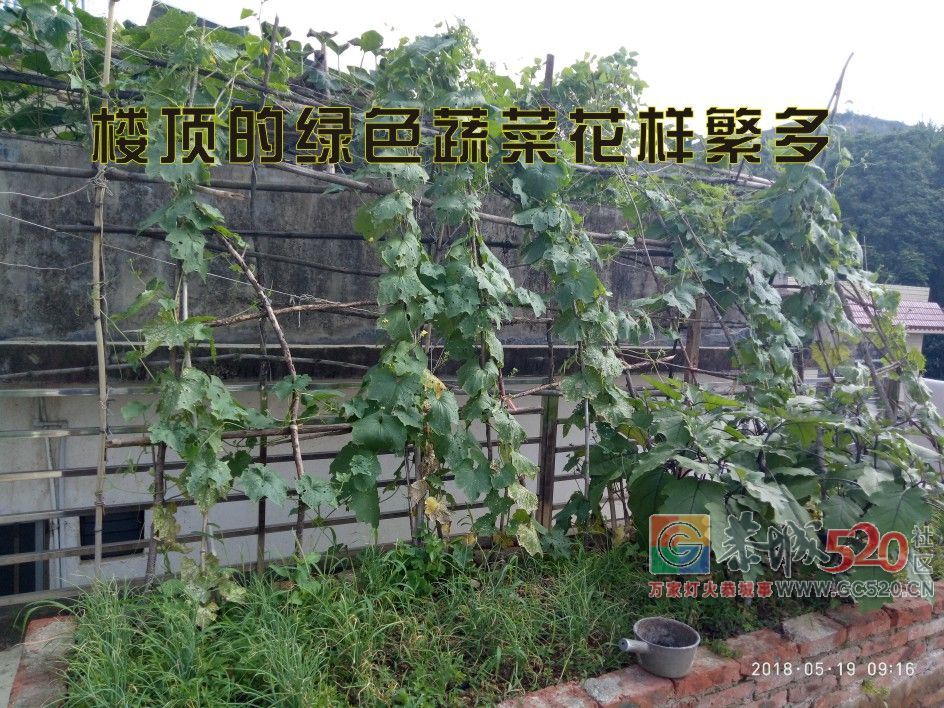 这个星期六在家里搞卫生MDG762 / 作者:MDG / 帖子ID:261398