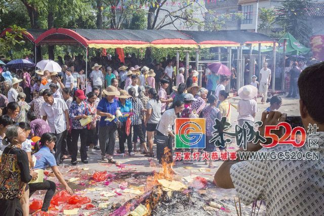 【现场实拍】莲花老圩农历四月初八“公明”文化节盛大开幕，现场人山人海！397 / 作者:红花绿叶 / 帖子ID:261419