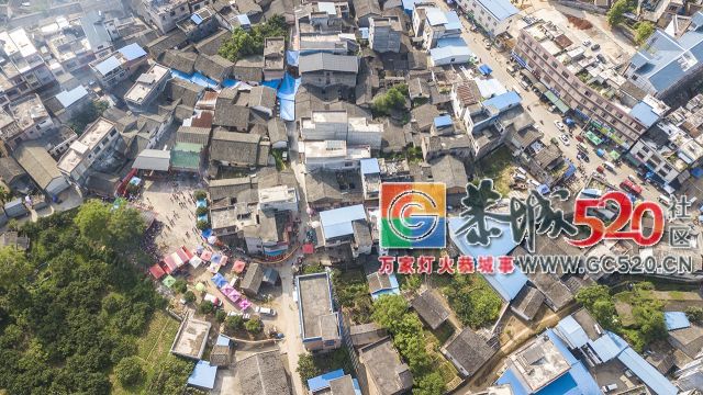 【现场实拍】莲花老圩农历四月初八“公明”文化节盛大开幕，现场人山人海！483 / 作者:红花绿叶 / 帖子ID:261419