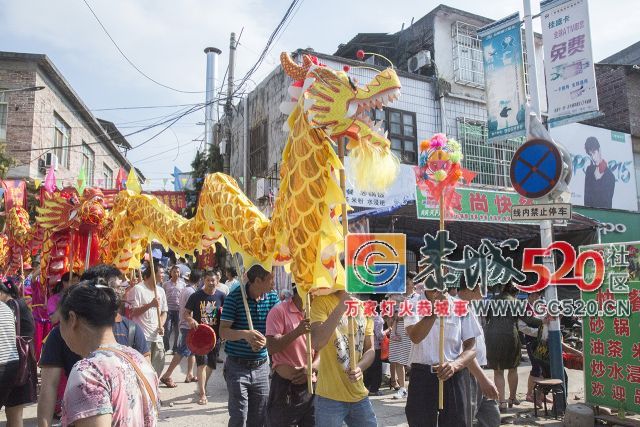 【现场实拍】莲花老圩农历四月初八“公明”文化节盛大开幕，现场人山人海！99 / 作者:红花绿叶 / 帖子ID:261419