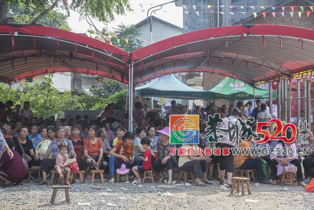 【现场实拍】莲花老圩农历四月初八“公明”文化节盛大开幕，现场人山人海！47 / 作者:红花绿叶 / 帖子ID:261419