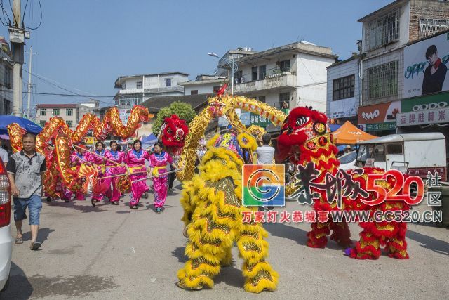 【现场实拍】莲花老圩农历四月初八“公明”文化节盛大开幕，现场人山人海！428 / 作者:红花绿叶 / 帖子ID:261419