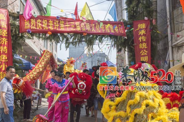 【现场实拍】莲花老圩农历四月初八“公明”文化节盛大开幕，现场人山人海！553 / 作者:红花绿叶 / 帖子ID:261419