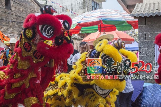 【现场实拍】莲花老圩农历四月初八“公明”文化节盛大开幕，现场人山人海！550 / 作者:红花绿叶 / 帖子ID:261419