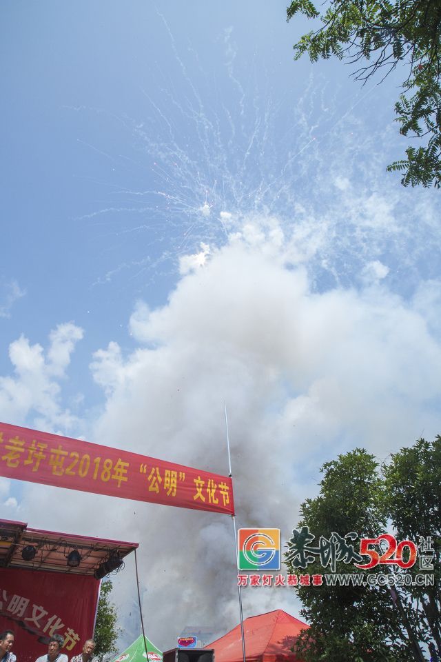 【现场实拍】莲花老圩农历四月初八“公明”文化节盛大开幕，现场人山人海！10 / 作者:红花绿叶 / 帖子ID:261419