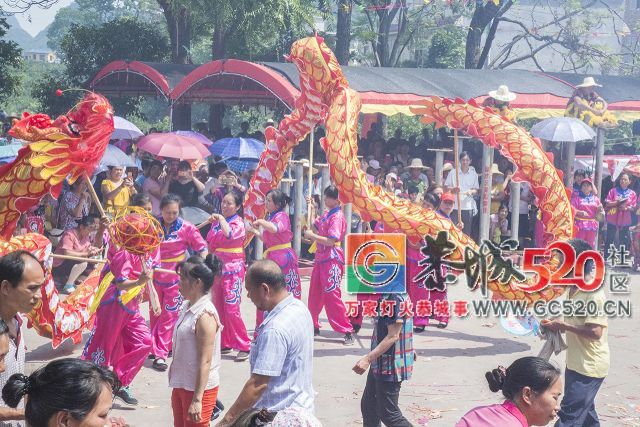 【现场实拍】莲花老圩农历四月初八“公明”文化节盛大开幕，现场人山人海！332 / 作者:红花绿叶 / 帖子ID:261419