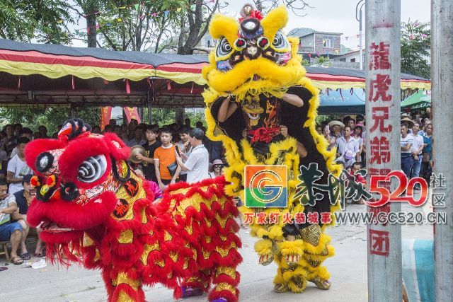 【现场实拍】莲花老圩农历四月初八“公明”文化节盛大开幕，现场人山人海！579 / 作者:红花绿叶 / 帖子ID:261419