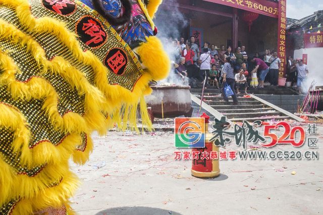 【现场实拍】莲花老圩农历四月初八“公明”文化节盛大开幕，现场人山人海！580 / 作者:红花绿叶 / 帖子ID:261419