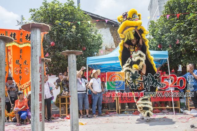 【现场实拍】莲花老圩农历四月初八“公明”文化节盛大开幕，现场人山人海！845 / 作者:红花绿叶 / 帖子ID:261419