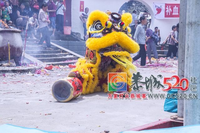 【现场实拍】莲花老圩农历四月初八“公明”文化节盛大开幕，现场人山人海！427 / 作者:红花绿叶 / 帖子ID:261419