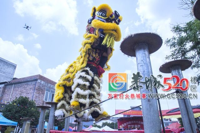 【现场实拍】莲花老圩农历四月初八“公明”文化节盛大开幕，现场人山人海！625 / 作者:红花绿叶 / 帖子ID:261419