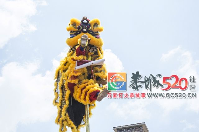 【现场实拍】莲花老圩农历四月初八“公明”文化节盛大开幕，现场人山人海！417 / 作者:红花绿叶 / 帖子ID:261419