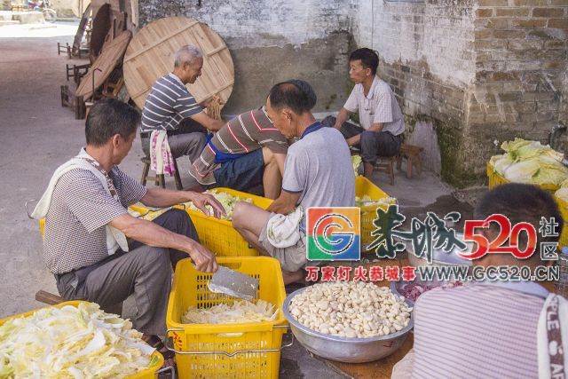 【现场实拍】莲花老圩农历四月初八“公明”文化节盛大开幕，现场人山人海！302 / 作者:红花绿叶 / 帖子ID:261419