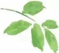 【恭城】欢声笑语庆六一  政企携手献爱心714 / 作者:单身狗的生活 / 帖子ID:261480