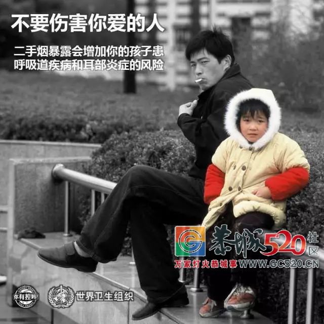 在今天，放下吞云吐雾的“享受”吧！554 / 作者:该做的事情 / 帖子ID:261487