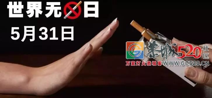 在今天，放下吞云吐雾的“享受”吧！861 / 作者:该做的事情 / 帖子ID:261487