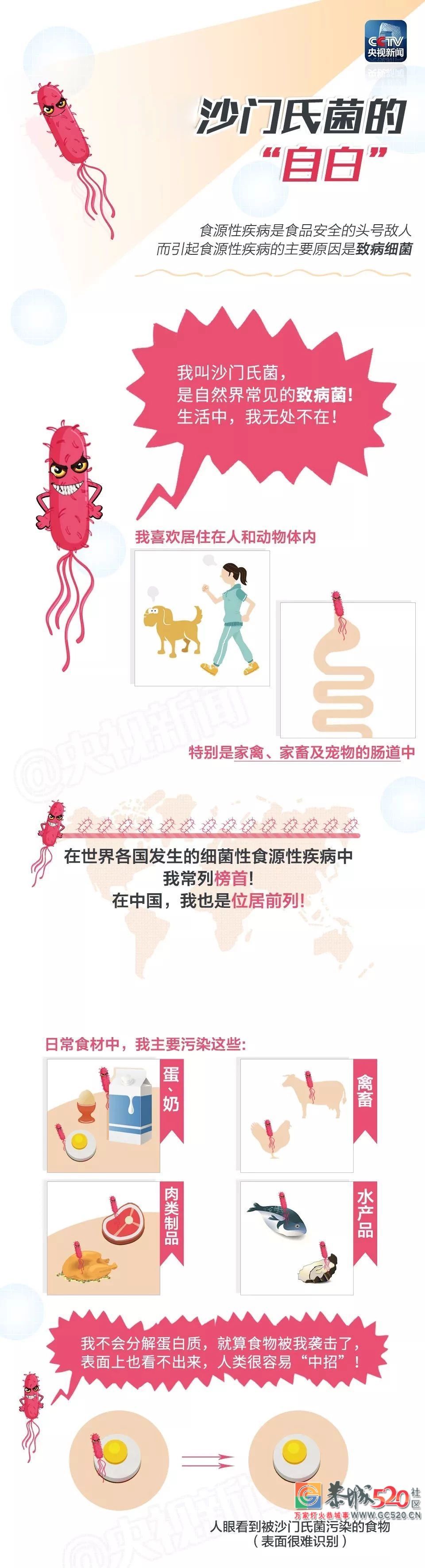 “夏日腹泻呕吐”的罪魁祸首竟是它！生活中无处不在……392 / 作者:该做的事情 / 帖子ID:261488