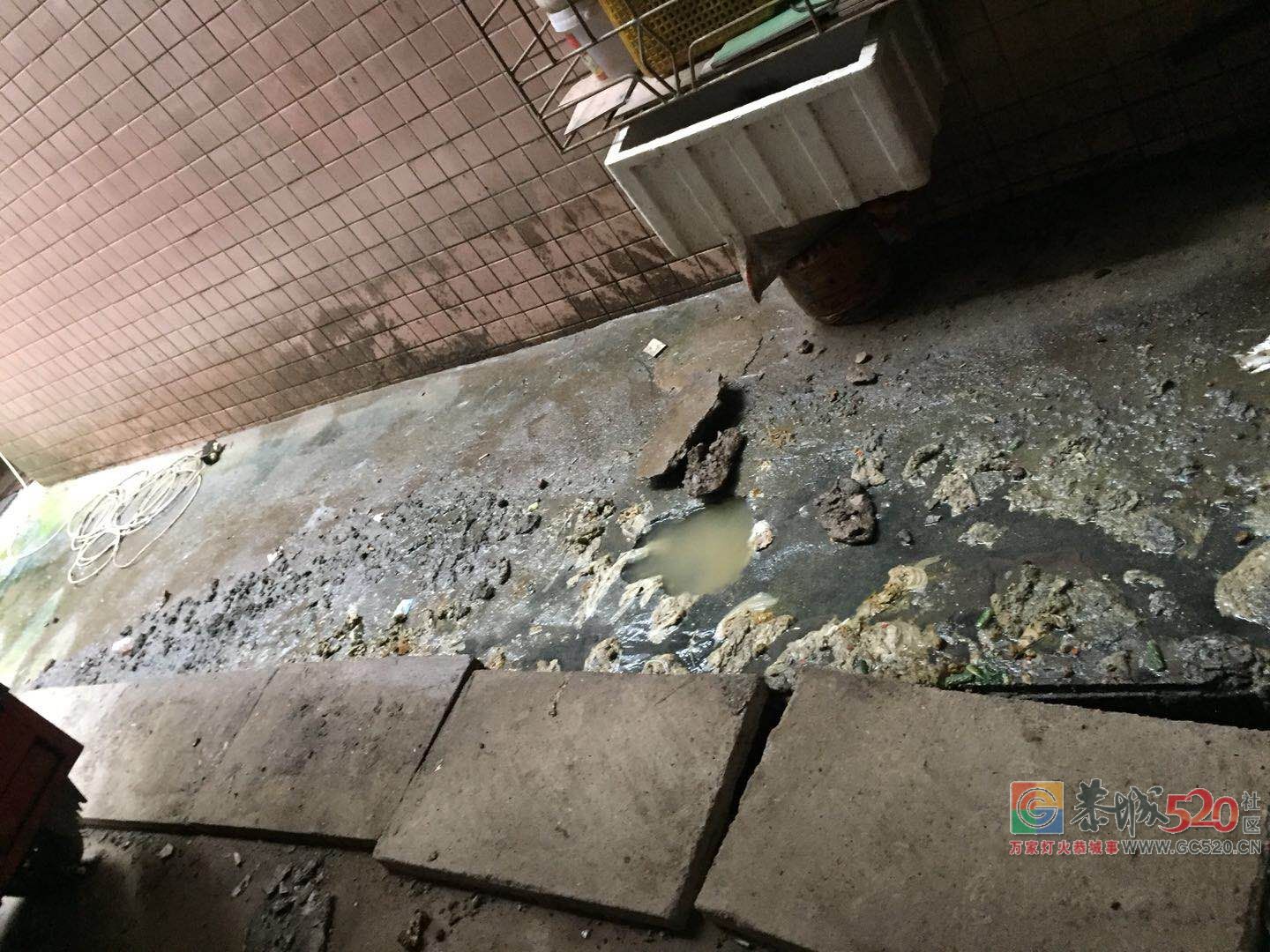 下水道爆裂，协商无果，谁来管862 / 作者:极速6688 / 帖子ID:261501